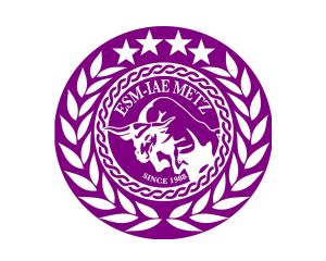 logo AEMI