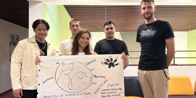 Image Entreprendre c'est facile