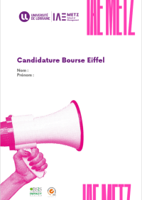 Candidature Bourse Eiffel.docx