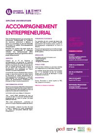 Plaquette du Diplôme Universitaire Accompagnement Entrepreneurial