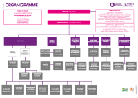 Organigramme IAE Metz