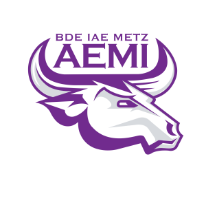 Logo AEMI