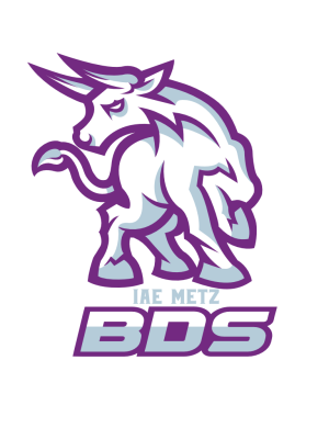 Bureau des sports IAE Metz
