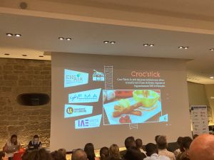 Croc'stick présentation